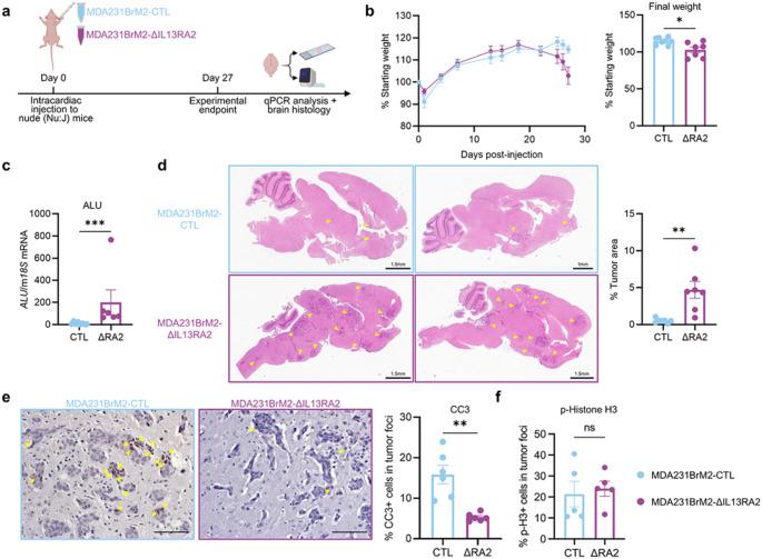 https://cdn.ncbi.nlm.nih.gov/pmc/blobs/442d/12263738/be59ab6b3bf4/10585_2025_10362_Fig3_HTML.jpg