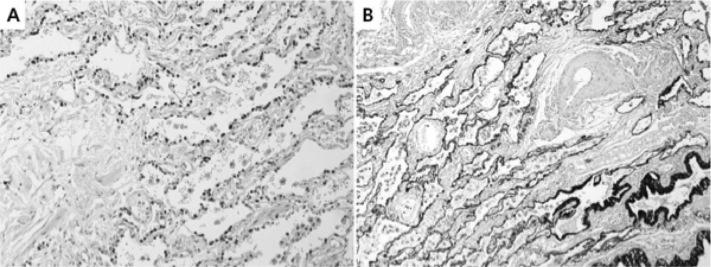 https://cdn.ncbi.nlm.nih.gov/pmc/blobs/442d/3558913/c2bb3cfe7855/jls0041229460004.jpg