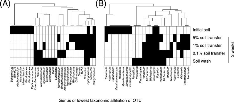 https://cdn.ncbi.nlm.nih.gov/pmc/blobs/442d/5812521/93bf3ff55d15/fnx092fig6.jpg