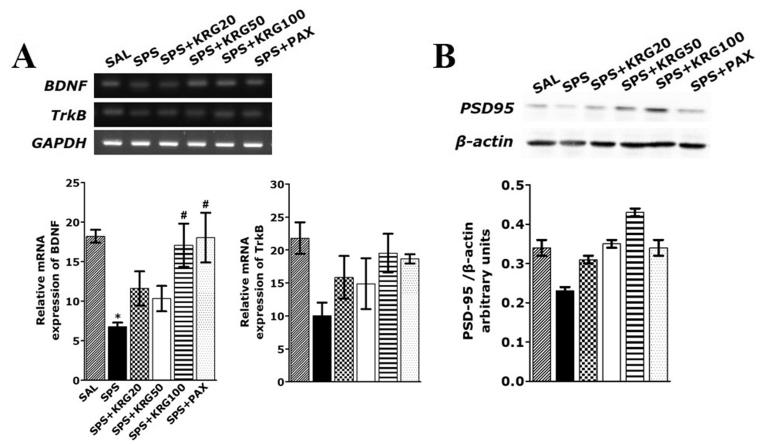 https://cdn.ncbi.nlm.nih.gov/pmc/blobs/442d/9120622/2bfc8f057496/gr6.jpg
