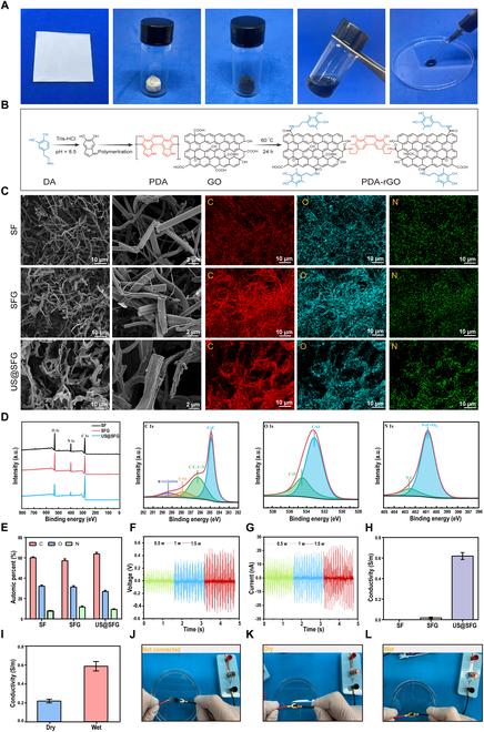 https://cdn.ncbi.nlm.nih.gov/pmc/blobs/442e/12260224/d290f47ae9a3/research.0769.fig.002.jpg