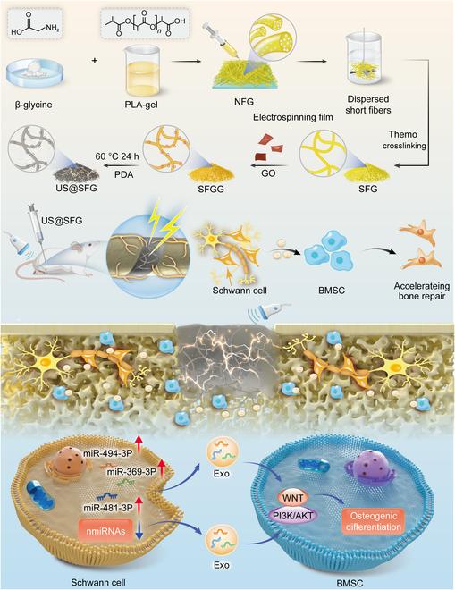 https://cdn.ncbi.nlm.nih.gov/pmc/blobs/442e/12260224/de904dae9f9f/research.0769.fig.001.jpg