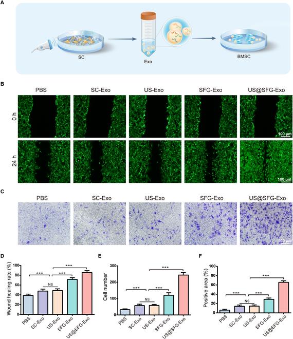 https://cdn.ncbi.nlm.nih.gov/pmc/blobs/442e/12260224/f72f5f9cd5e5/research.0769.fig.005.jpg