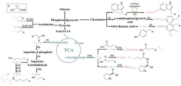 https://cdn.ncbi.nlm.nih.gov/pmc/blobs/4431/10534643/4df2724d3709/molecules-28-06745-g001.jpg