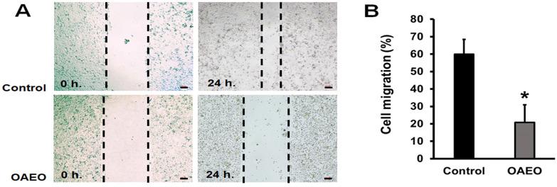 https://cdn.ncbi.nlm.nih.gov/pmc/blobs/4431/9227199/212e565ad490/medicina-58-00799-g003.jpg