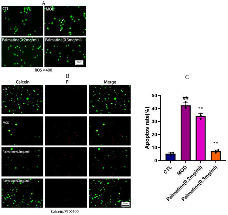 https://cdn.ncbi.nlm.nih.gov/pmc/blobs/4432/10745955/760b2ed6d958/molecules-28-07955-g002.jpg