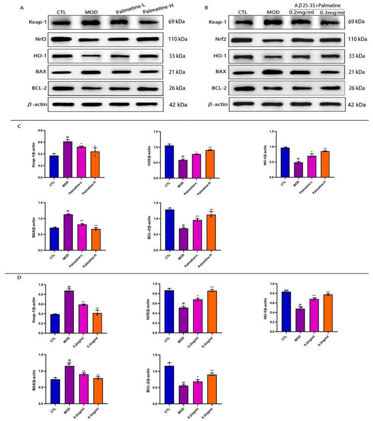 https://cdn.ncbi.nlm.nih.gov/pmc/blobs/4432/10745955/8ed1602cbb8f/molecules-28-07955-g006.jpg