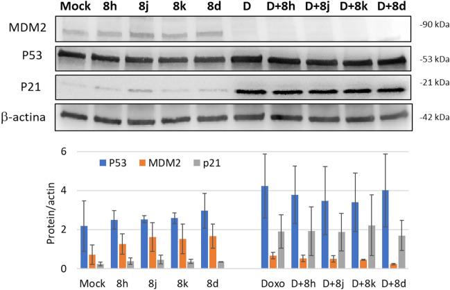 https://cdn.ncbi.nlm.nih.gov/pmc/blobs/4434/10167355/3eb01f5fb246/41598_2023_31209_Fig10_HTML.jpg