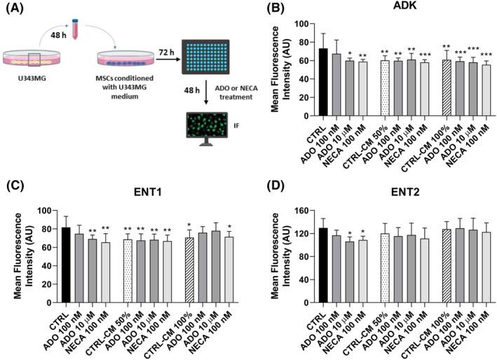 https://cdn.ncbi.nlm.nih.gov/pmc/blobs/4434/11580377/3530b67b66dc/IUB-76-1234-g005.jpg