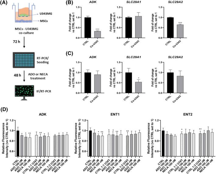 https://cdn.ncbi.nlm.nih.gov/pmc/blobs/4434/11580377/8ab1edc26b73/IUB-76-1234-g006.jpg
