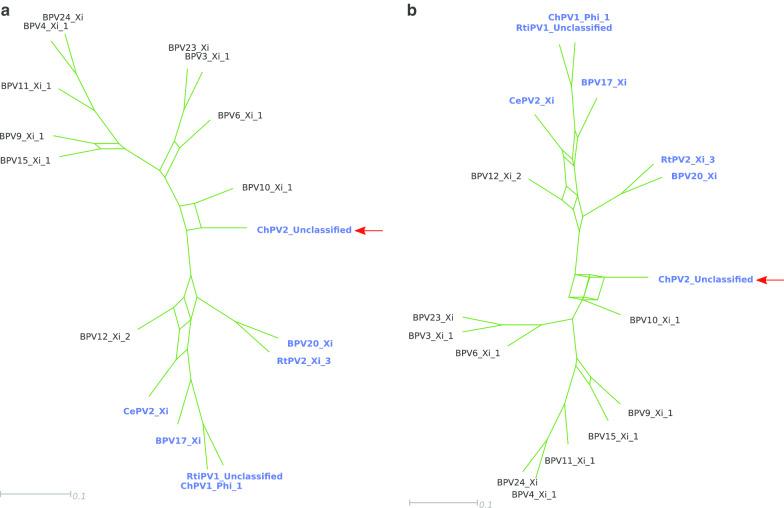 https://cdn.ncbi.nlm.nih.gov/pmc/blobs/4434/7602357/0b62ad091b08/12985_2020_1440_Fig3_HTML.jpg