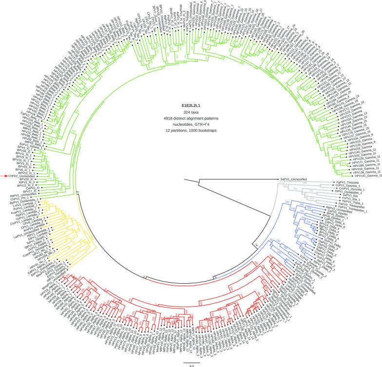 https://cdn.ncbi.nlm.nih.gov/pmc/blobs/4434/7602357/baca873832ab/12985_2020_1440_Fig1_HTML.jpg