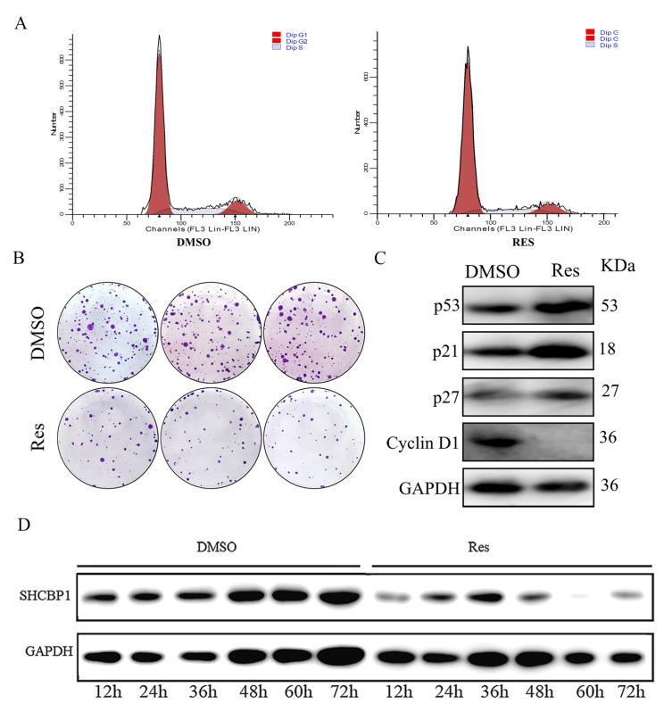 https://cdn.ncbi.nlm.nih.gov/pmc/blobs/4436/10674768/62addb0c46ab/molecules-28-07614-g001.jpg