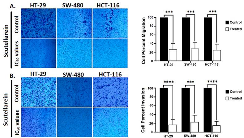 https://cdn.ncbi.nlm.nih.gov/pmc/blobs/4436/11532241/9e949f373d99/gr5.jpg