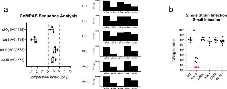 https://cdn.ncbi.nlm.nih.gov/pmc/blobs/4436/9109917/8d1895022ddb/ppat.1010102.g006.jpg