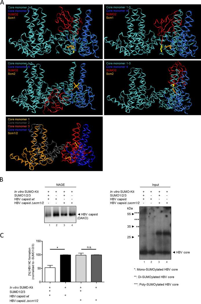 https://cdn.ncbi.nlm.nih.gov/pmc/blobs/4438/10269885/9975e486f44b/spectrum.00446-23-f007.jpg