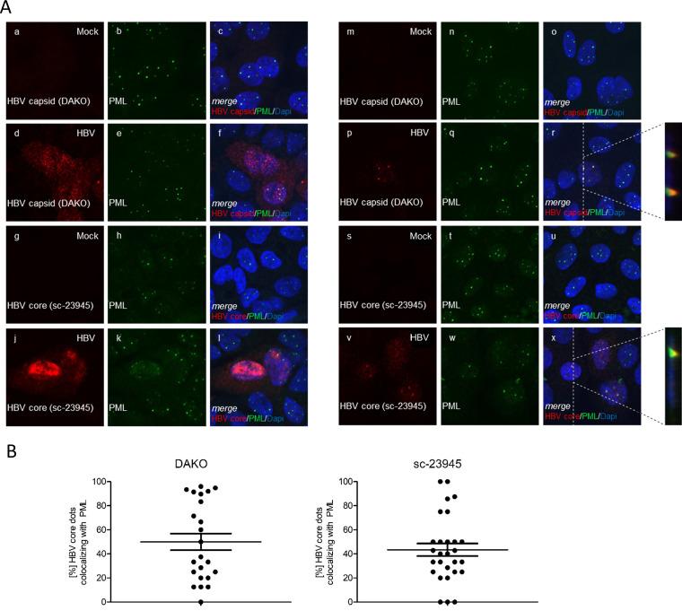 https://cdn.ncbi.nlm.nih.gov/pmc/blobs/4438/10269885/dd8d910cfee6/spectrum.00446-23-f003.jpg