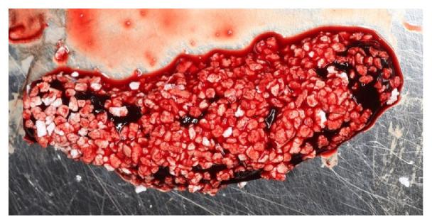 https://cdn.ncbi.nlm.nih.gov/pmc/blobs/4439/8587813/d4b93fe839df/materials-14-06642-g007.jpg
