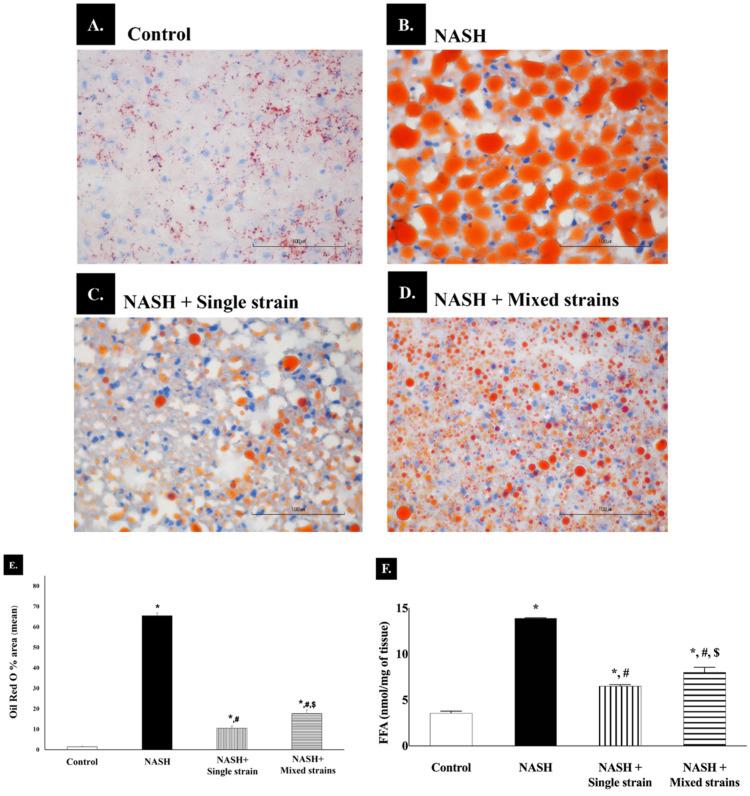 https://cdn.ncbi.nlm.nih.gov/pmc/blobs/443a/11605219/7025b1139a7b/biomedicines-12-01847-g002.jpg