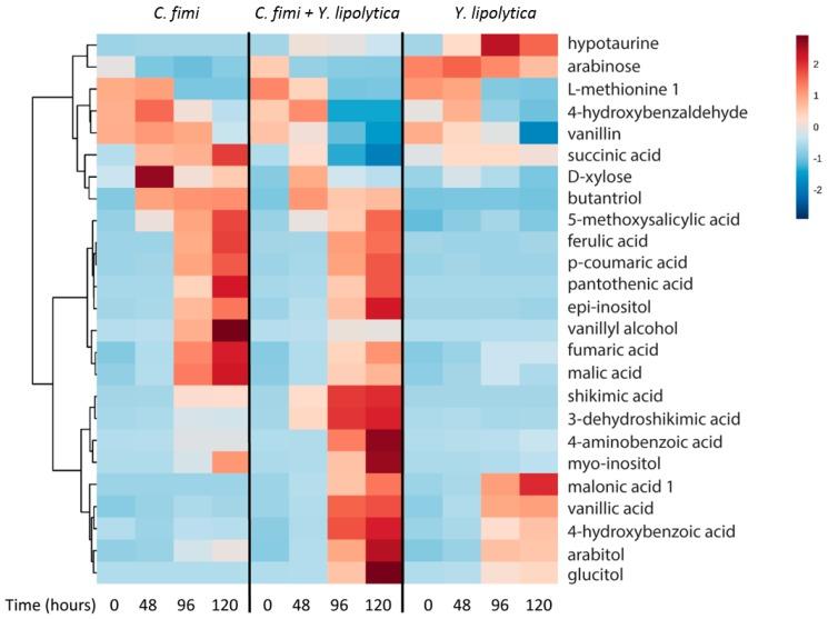 https://cdn.ncbi.nlm.nih.gov/pmc/blobs/443c/5746730/a2a757be2ee4/metabolites-07-00050-g007.jpg