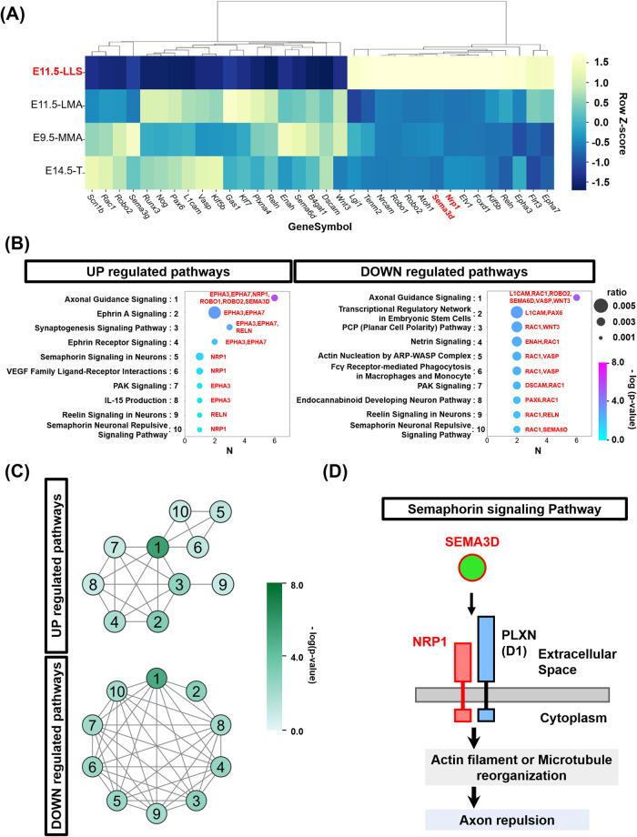 https://cdn.ncbi.nlm.nih.gov/pmc/blobs/443d/10918430/ed68f4895576/AHC23-00073f03.jpg