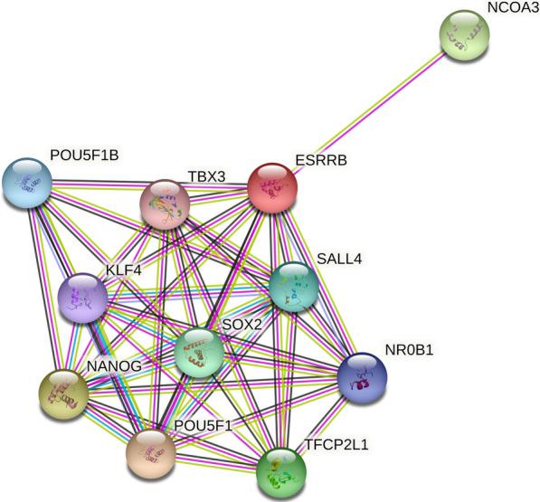 https://cdn.ncbi.nlm.nih.gov/pmc/blobs/443d/8805370/b54e7dc7cc90/12920_2022_1165_Fig3_HTML.jpg