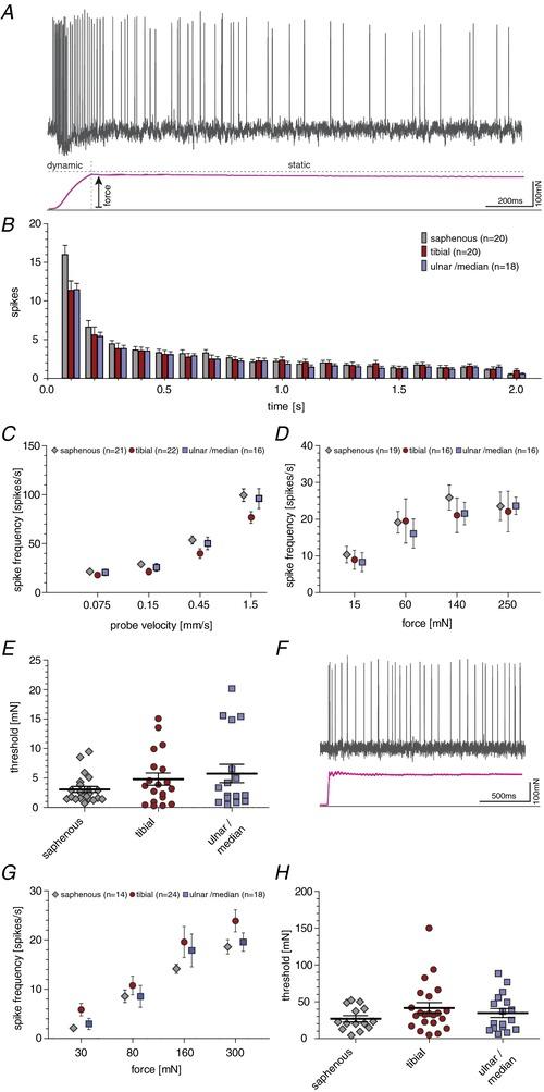 https://cdn.ncbi.nlm.nih.gov/pmc/blobs/4440/6187043/cf0b090e20a9/TJP-596-4995-g006.jpg