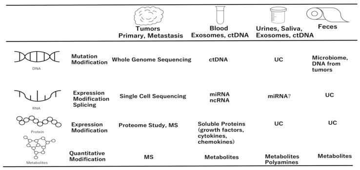 https://cdn.ncbi.nlm.nih.gov/pmc/blobs/4440/9599774/ae66851feba3/biomolecules-12-01503-g002.jpg