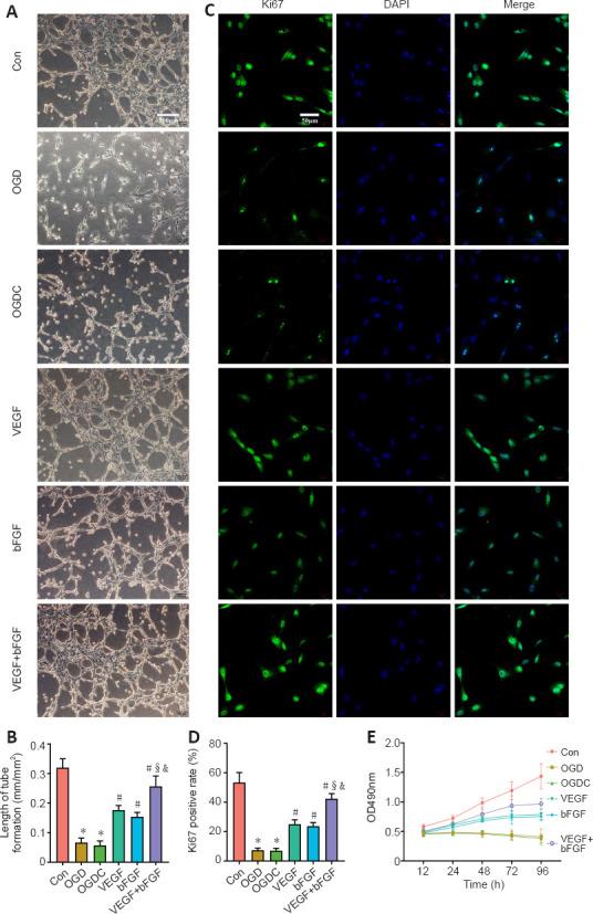 https://cdn.ncbi.nlm.nih.gov/pmc/blobs/4441/10664103/53647343221f/NRR-19-887-g004.jpg