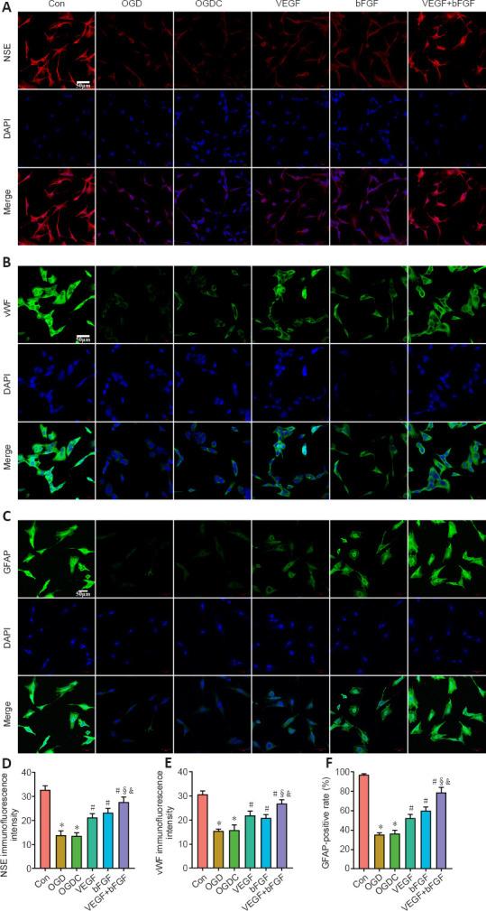 https://cdn.ncbi.nlm.nih.gov/pmc/blobs/4441/10664103/8d517fe53307/NRR-19-887-g006.jpg