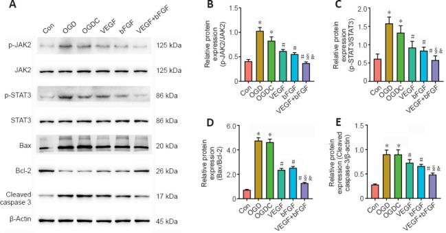 https://cdn.ncbi.nlm.nih.gov/pmc/blobs/4441/10664103/a51dfb915a83/NRR-19-887-g008.jpg