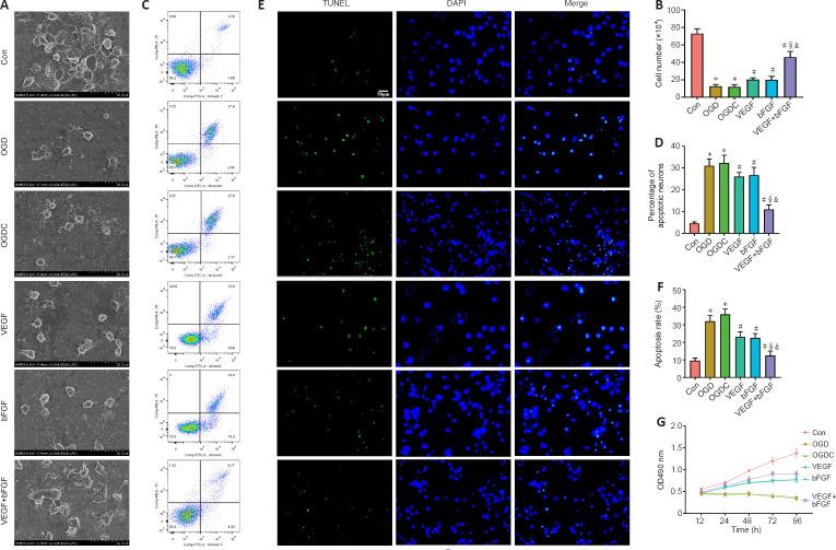 https://cdn.ncbi.nlm.nih.gov/pmc/blobs/4441/10664103/df6cda7fd3c9/NRR-19-887-g005.jpg