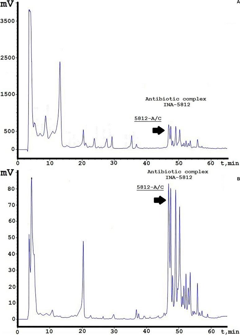 https://cdn.ncbi.nlm.nih.gov/pmc/blobs/4441/7533577/109cf14cb608/fmicb-11-556063-g001.jpg