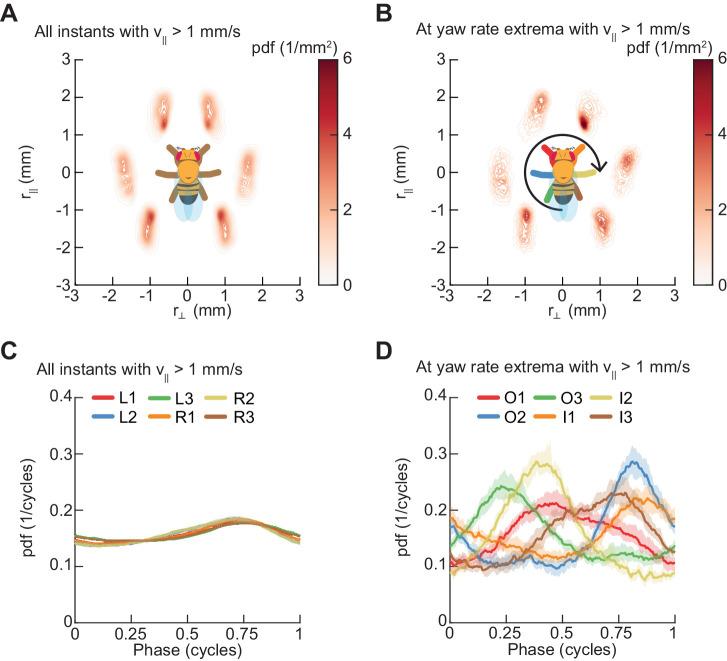 https://cdn.ncbi.nlm.nih.gov/pmc/blobs/4443/6598772/0355d6700877/elife-46409-fig7.jpg