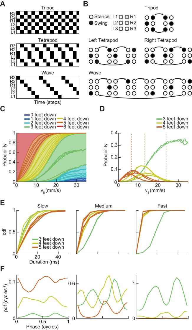https://cdn.ncbi.nlm.nih.gov/pmc/blobs/4443/6598772/20e7d27cb5bc/elife-46409-fig2.jpg