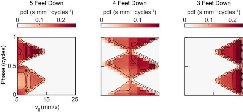 https://cdn.ncbi.nlm.nih.gov/pmc/blobs/4443/6598772/780d5a11863c/elife-46409-fig5-figsupp1.jpg