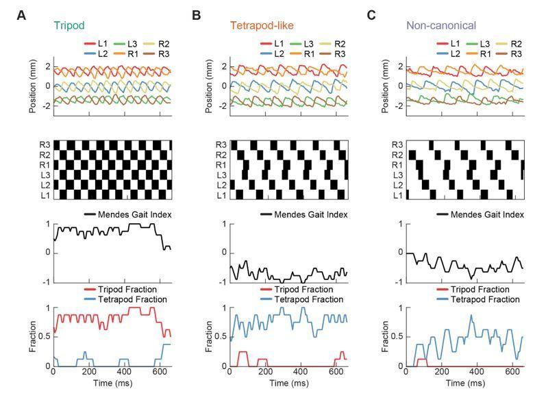 https://cdn.ncbi.nlm.nih.gov/pmc/blobs/4443/6598772/7fd833301255/elife-46409-resp-fig3.jpg