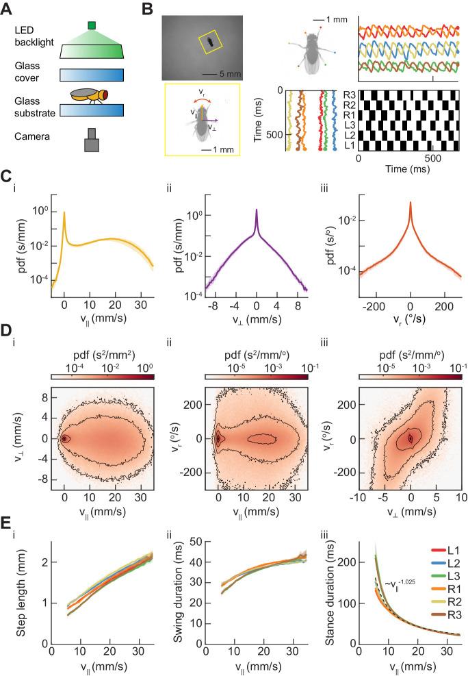 https://cdn.ncbi.nlm.nih.gov/pmc/blobs/4443/6598772/baf71a6c1922/elife-46409-fig1.jpg