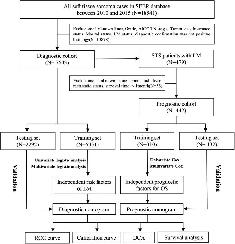 https://cdn.ncbi.nlm.nih.gov/pmc/blobs/4443/8753250/e8df958beecd/10.1177_15330338211066240-fig1.jpg