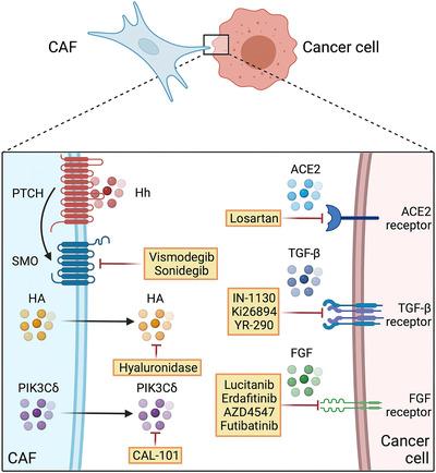 https://cdn.ncbi.nlm.nih.gov/pmc/blobs/4443/9118050/51b9d76e49b1/CAC2-42-401-g001.jpg
