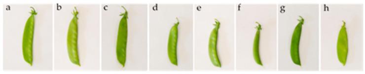 https://cdn.ncbi.nlm.nih.gov/pmc/blobs/4445/9185268/00bc745aeb14/sensors-22-04113-g001.jpg