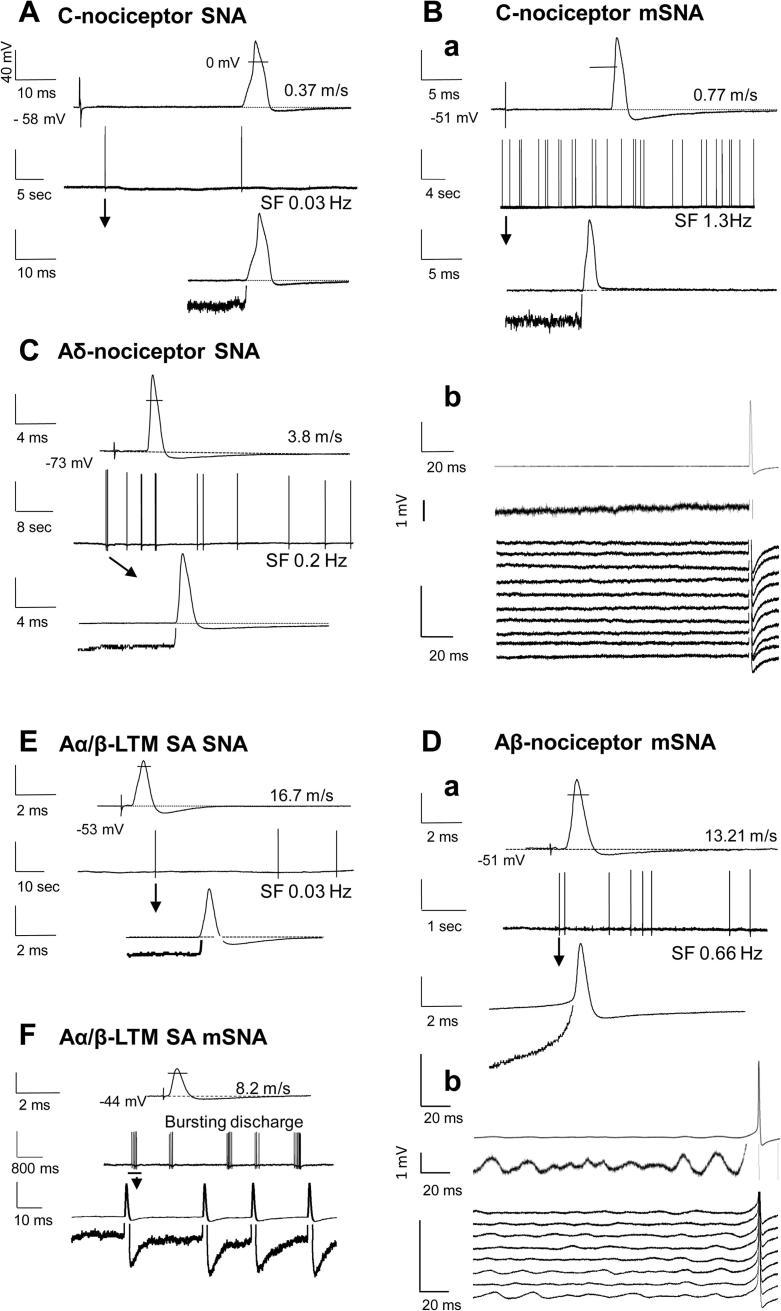 https://cdn.ncbi.nlm.nih.gov/pmc/blobs/4446/3425771/dc2c3566f91a/gr4.jpg