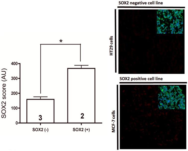https://cdn.ncbi.nlm.nih.gov/pmc/blobs/4447/3631238/c0d2637e50c1/pone.0061427.g002.jpg