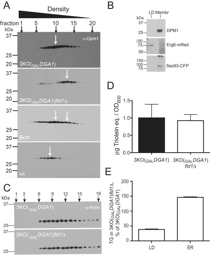 https://cdn.ncbi.nlm.nih.gov/pmc/blobs/4448/4325842/3282df8fa7d9/726fig2.jpg