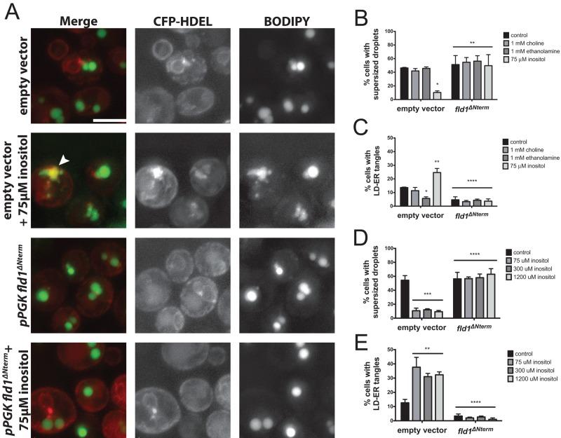 https://cdn.ncbi.nlm.nih.gov/pmc/blobs/4448/4325842/e3ec839577b7/726fig5.jpg