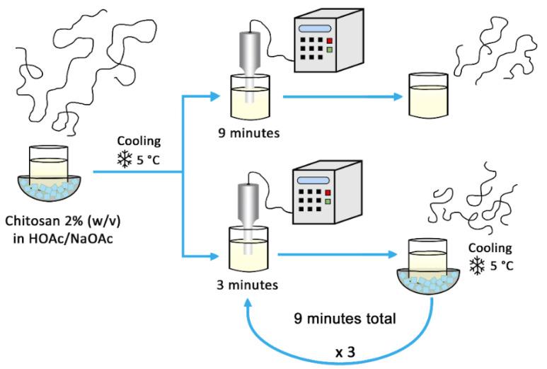 https://cdn.ncbi.nlm.nih.gov/pmc/blobs/444c/8347713/d29d71cdf6d4/polymers-13-02415-g002.jpg