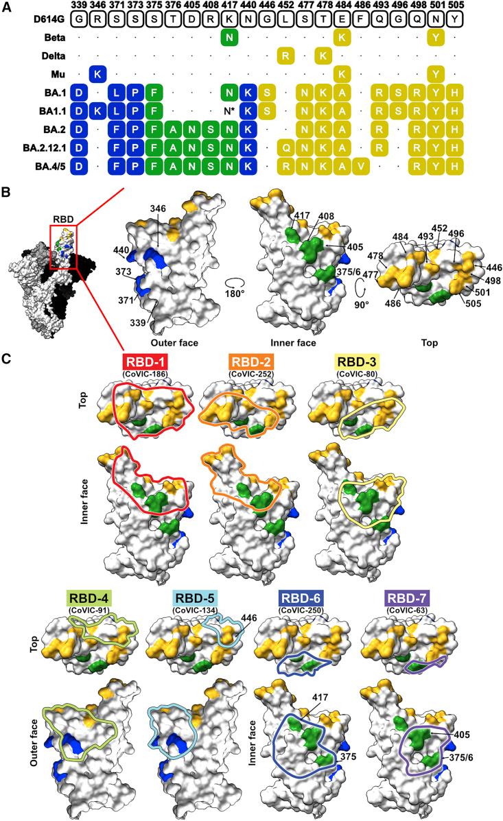 https://cdn.ncbi.nlm.nih.gov/pmc/blobs/444c/9894731/23f38cad4ebd/gr1.jpg