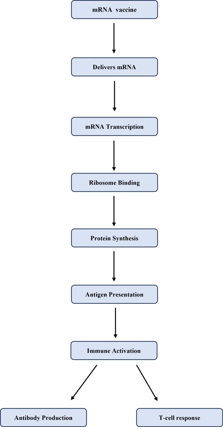 https://cdn.ncbi.nlm.nih.gov/pmc/blobs/444d/12179814/f7e5a3325738/cureus-0017-00000084529-i03.jpg