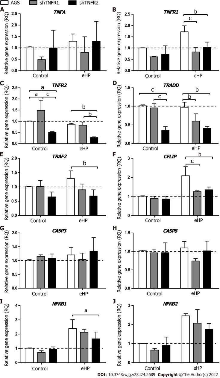 https://cdn.ncbi.nlm.nih.gov/pmc/blobs/444d/9260869/458c3b222313/WJG-28-2689-g002.jpg