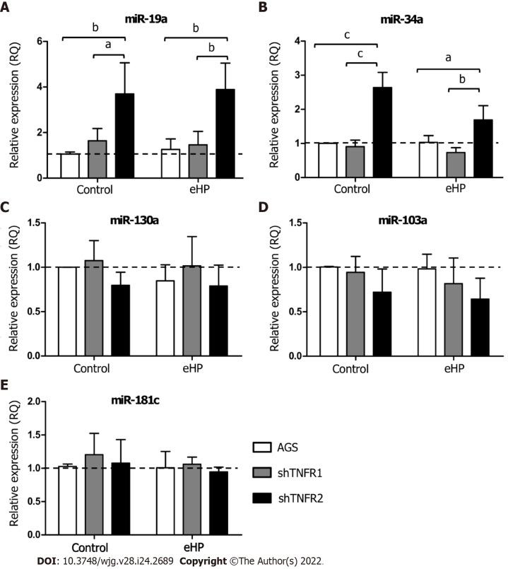 https://cdn.ncbi.nlm.nih.gov/pmc/blobs/444d/9260869/eba3c904bc2e/WJG-28-2689-g003.jpg